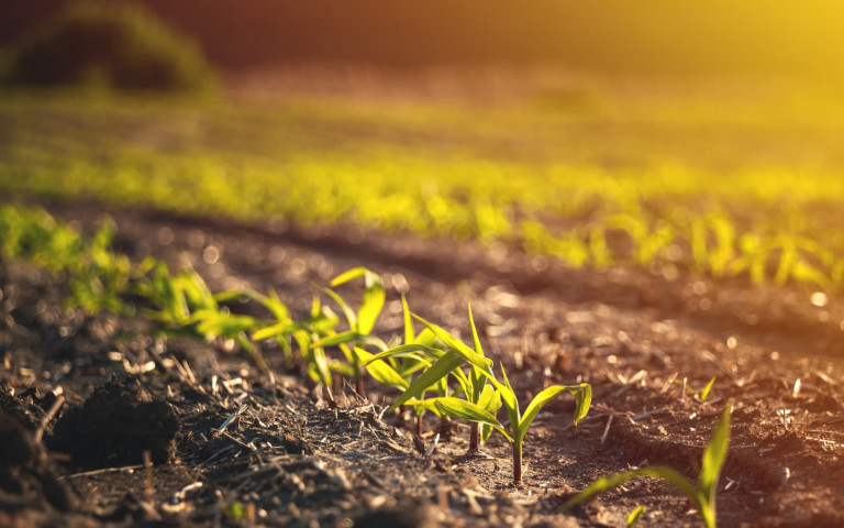 agri-plant