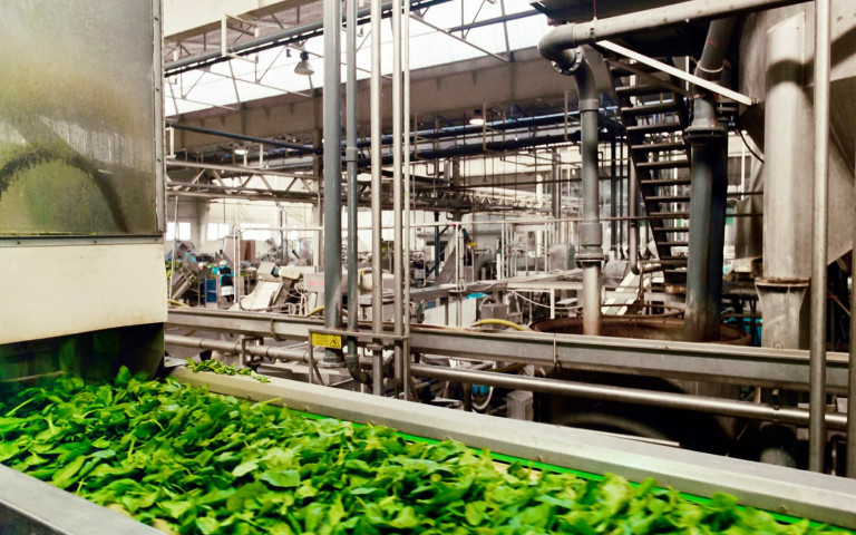 agro-company